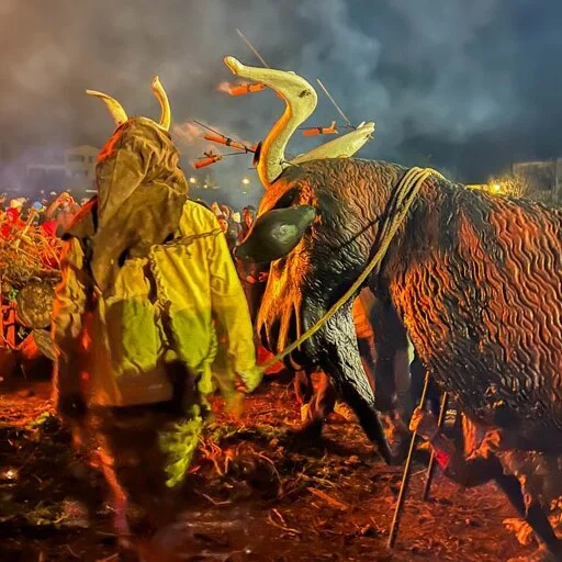 Festes De Sant Antoni 2026 – Fiesta En Sant Antoni - Bild 2