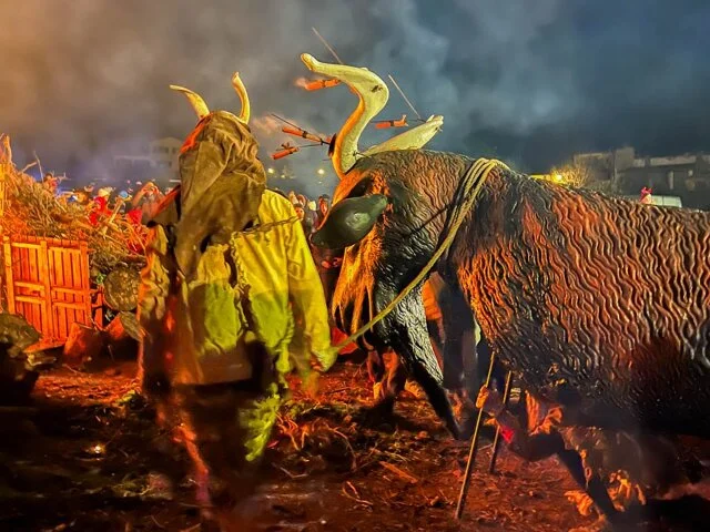 Festes De Sant Antoni 2026 – Fiesta En Sant Antoni - Bild 3