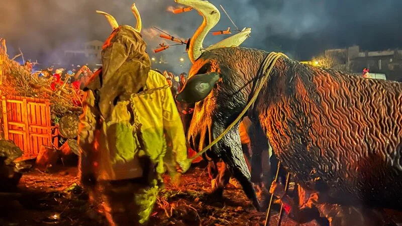 Festes De Sant Antoni 2026 – Fiesta En Sant Antoni - Bild 4