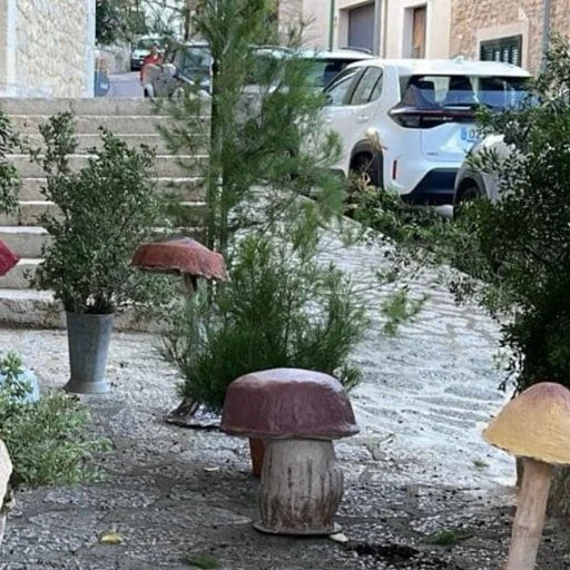 Feria De Setas 2025 – Mancor De La Vall - Bild 2