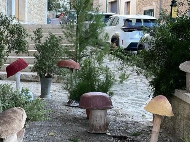 Feria De Setas 2025 – Mancor De La Vall - Bild 3