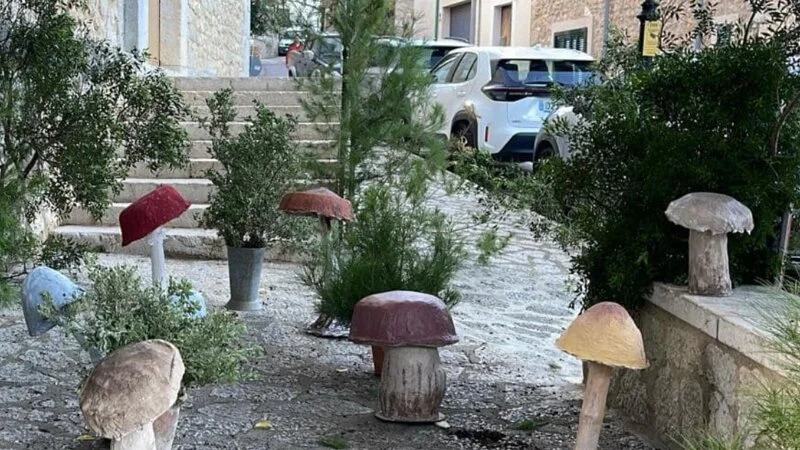 Feria De Setas 2025 – Mancor De La Vall - Bild 4