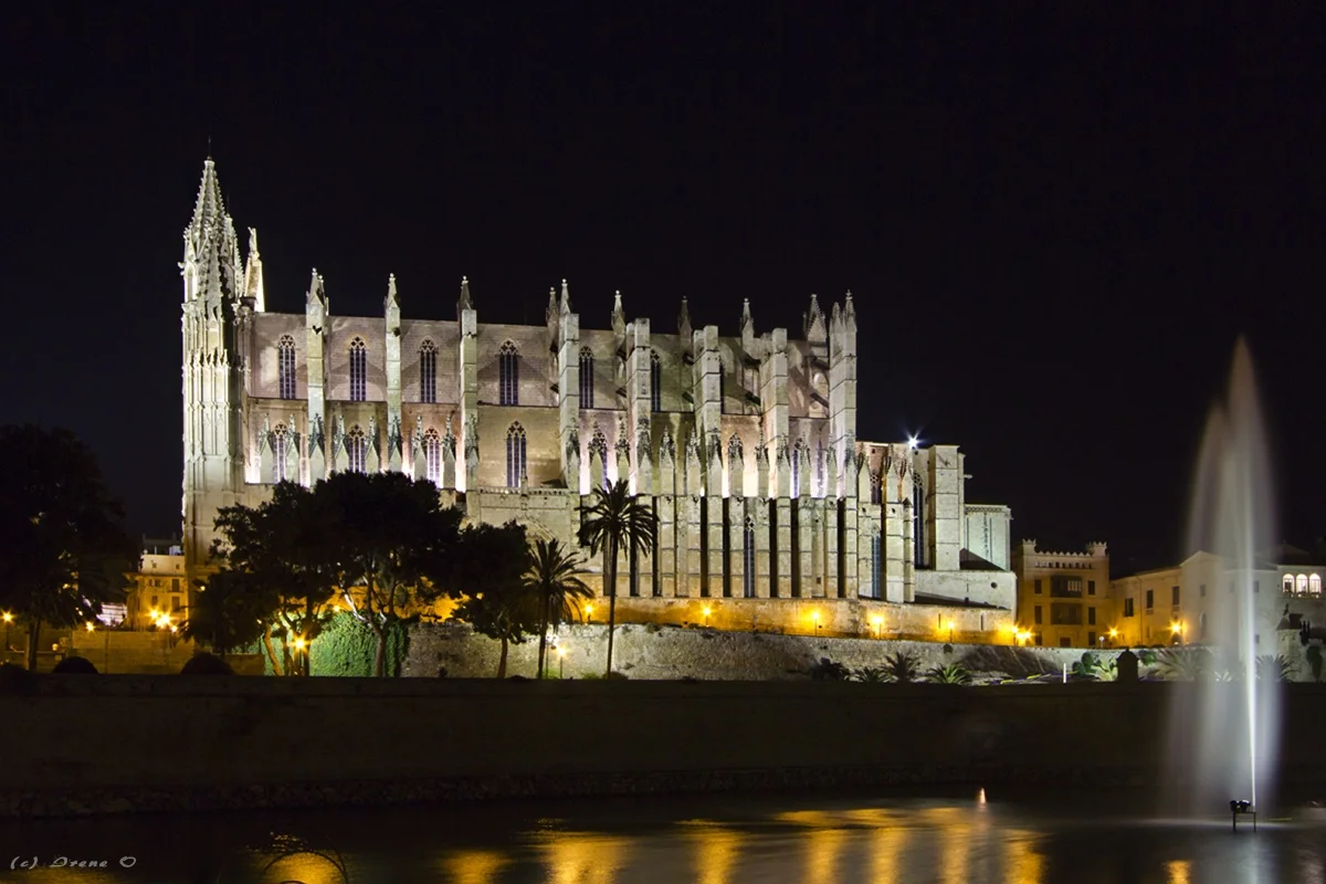 Encendido De Las Luces De Navidad - Bild 2