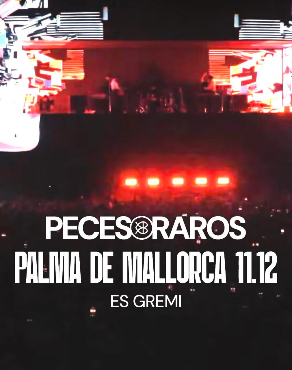 Peces Raros Concert - Bild 2