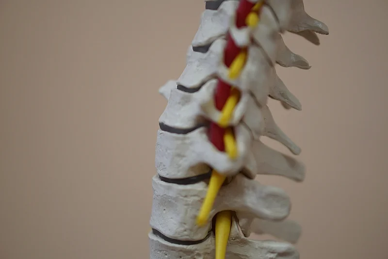 Paulus Marburg - Bild 2