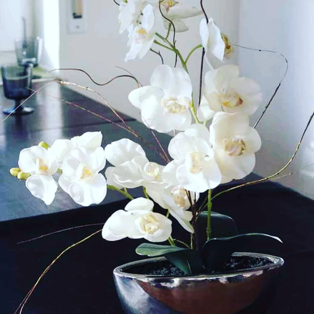 SpaConcept Mallorca - Bild 9