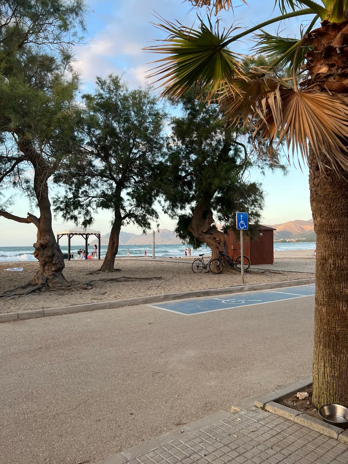 El Sol Sunshine Bar & Beach Apartments - Bild 8