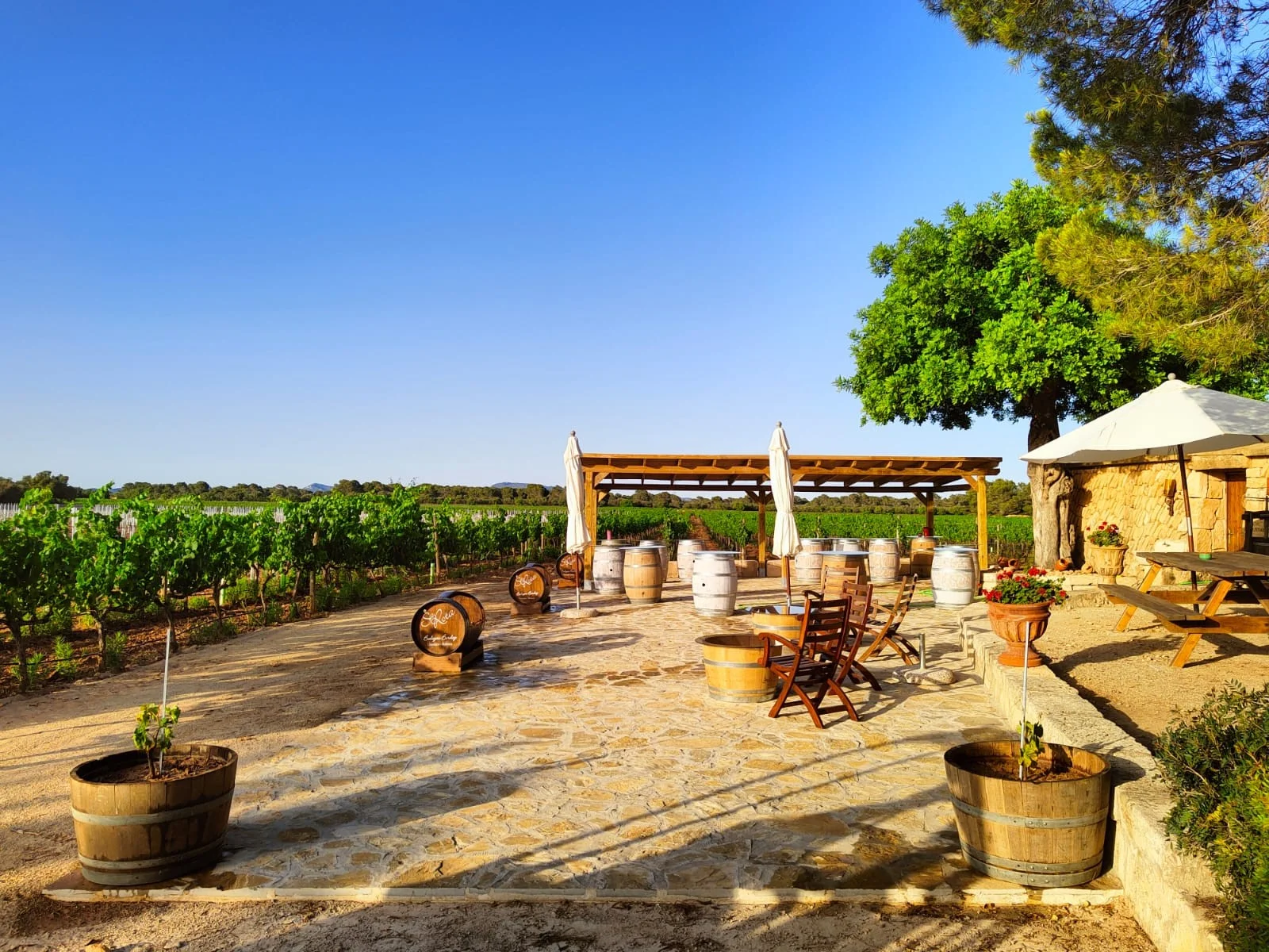 Bodegas Bordoy S.L. - food auf Mallorca
