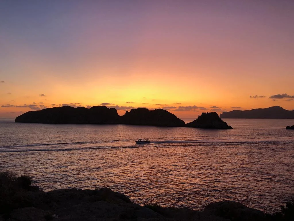 Ocean Dreams Mallorca - Bild 8