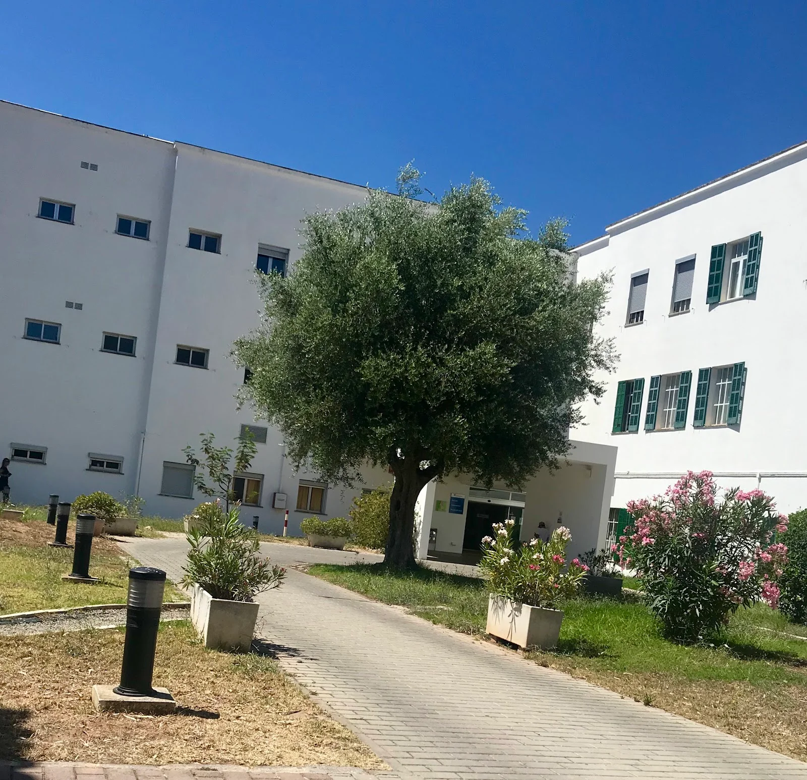 Hospital Joan March - Bild 2