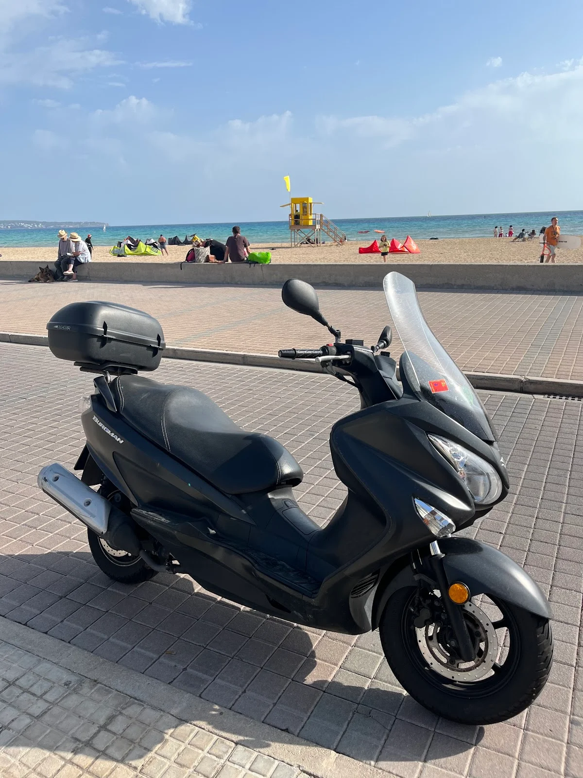 We Love Rent Mallorca - Bild 1