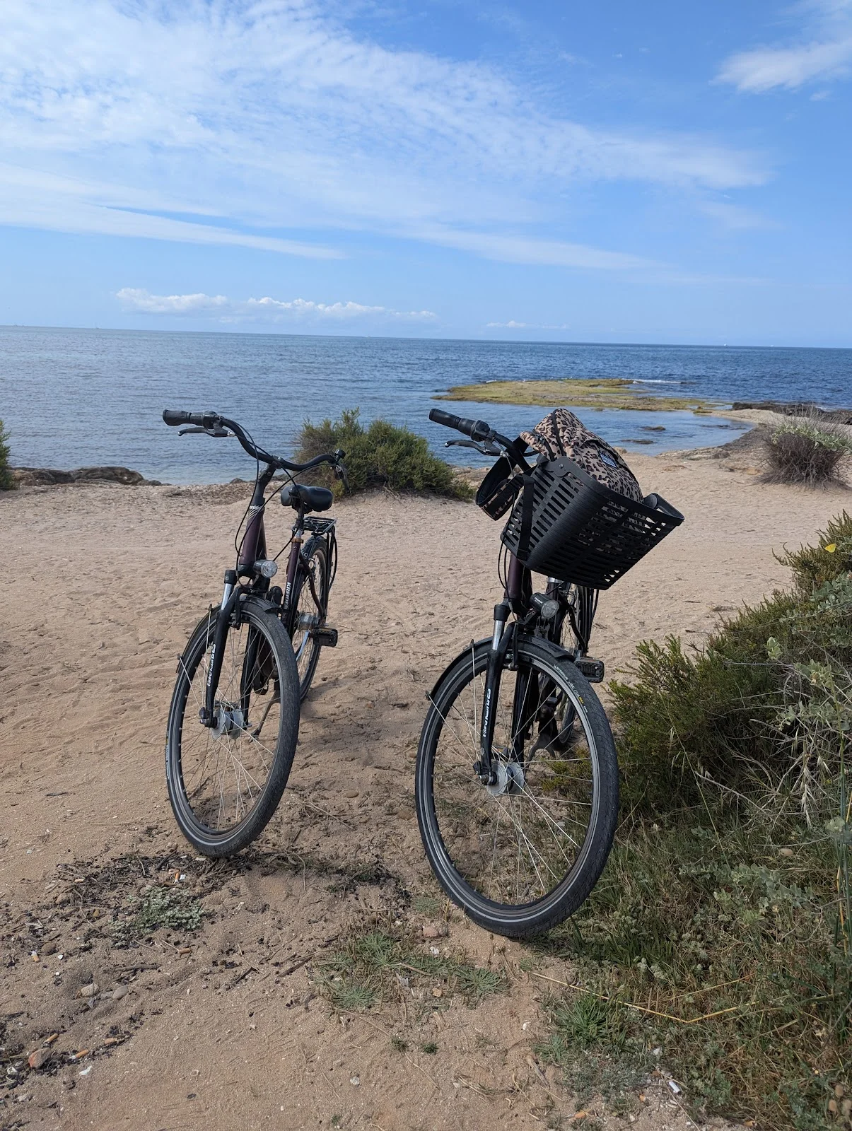 We Love Rent Mallorca - Bild 2