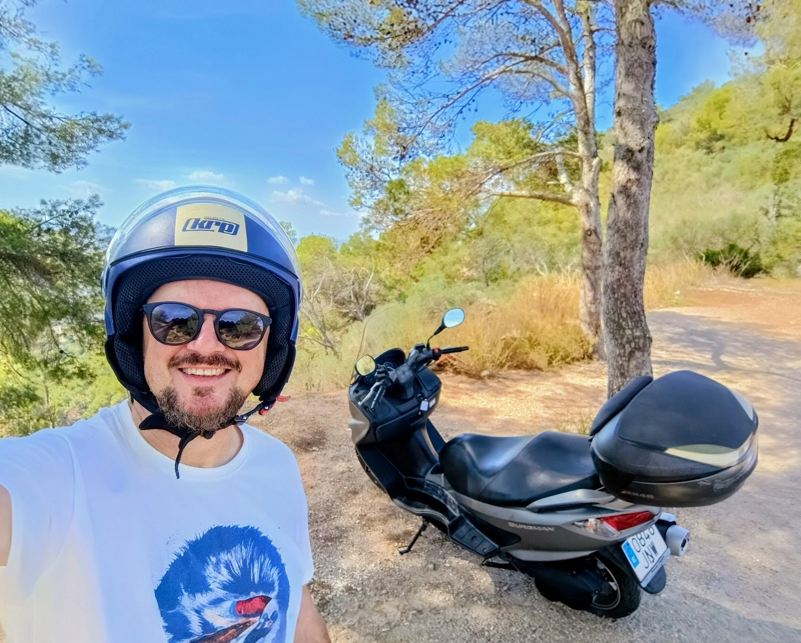 We Love Rent Mallorca - Bild 2