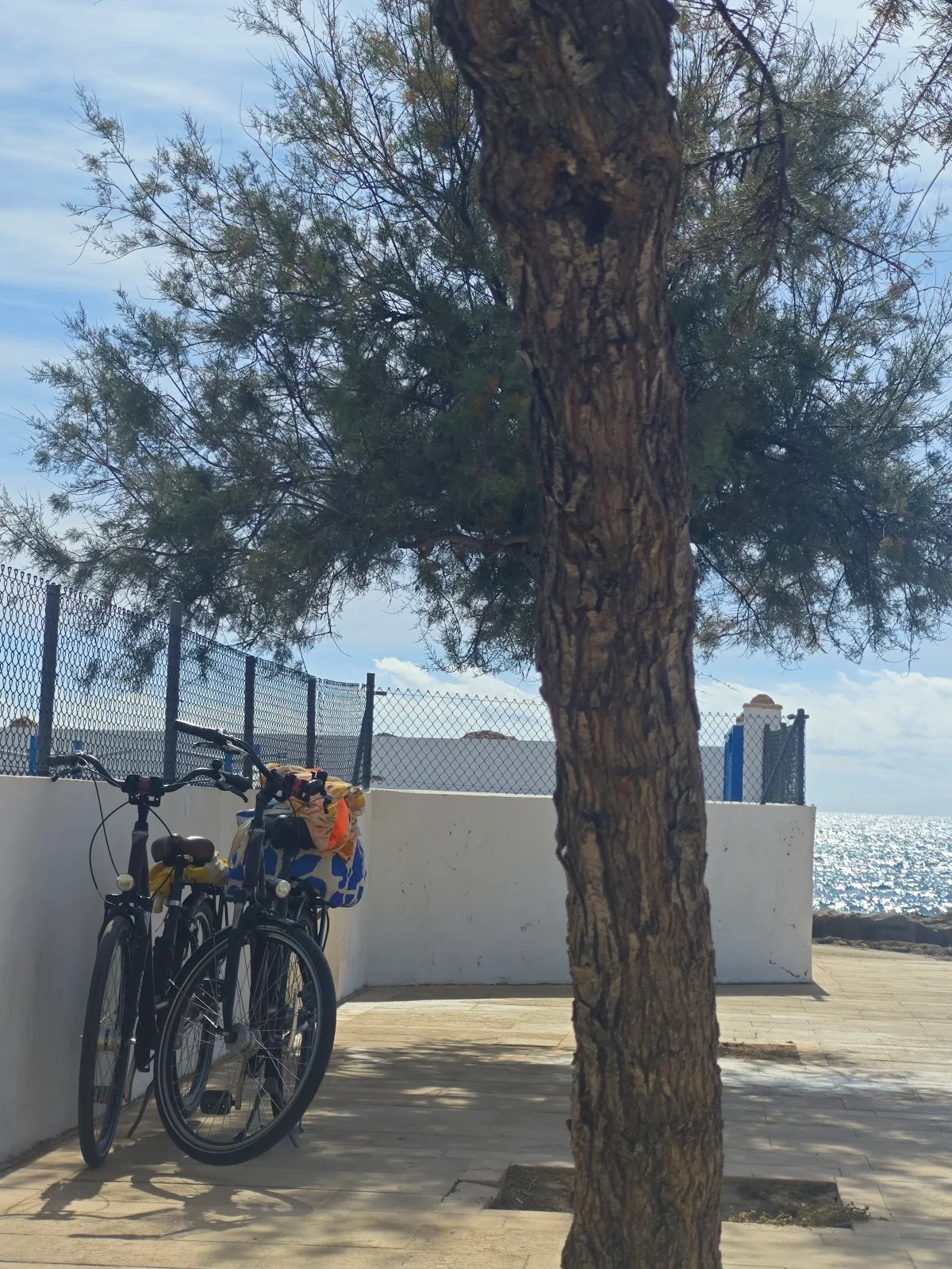 We Love Rent Mallorca - Bild 6