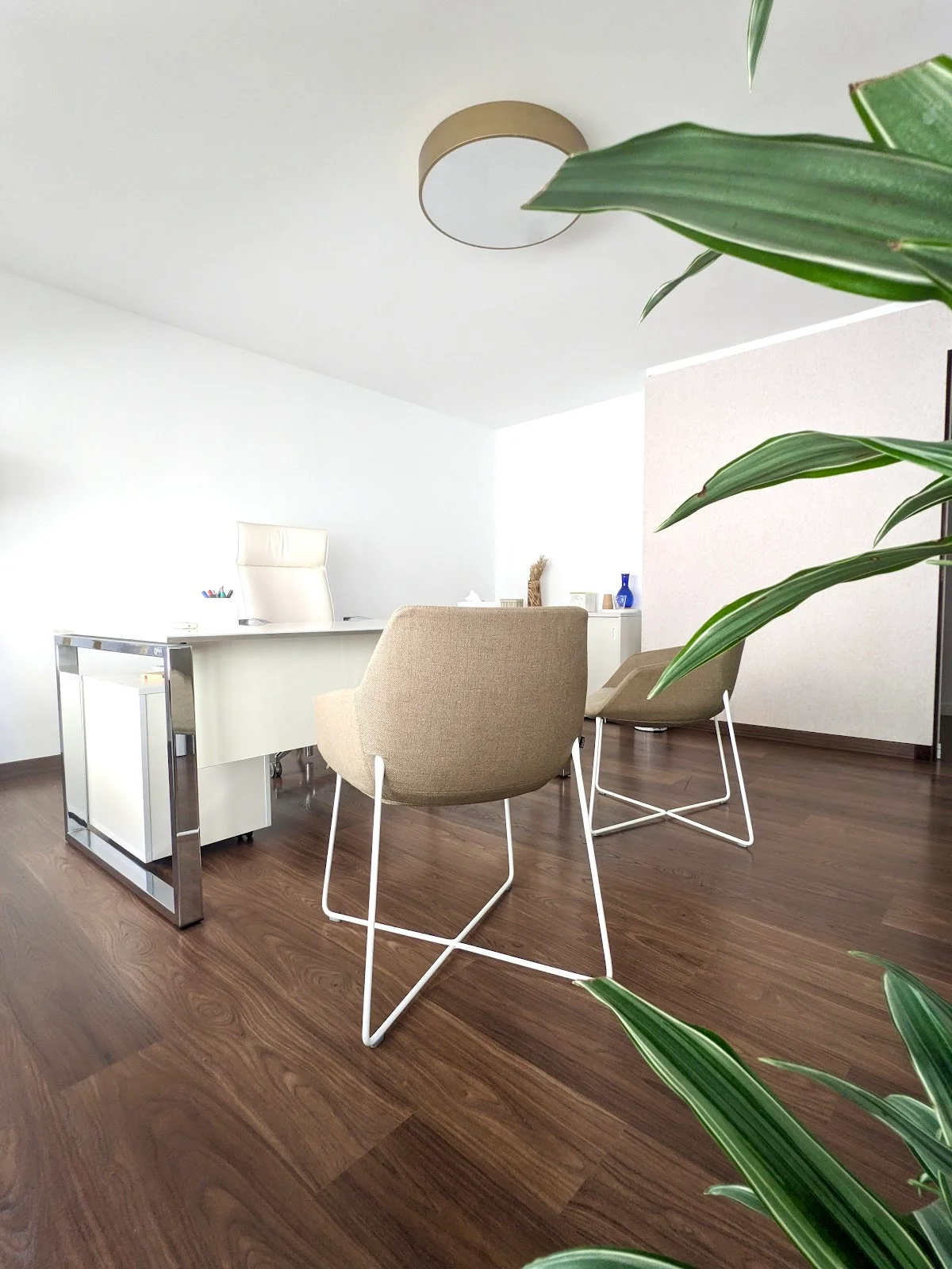 Pensaments Psicologos Mallorca - Bild 4