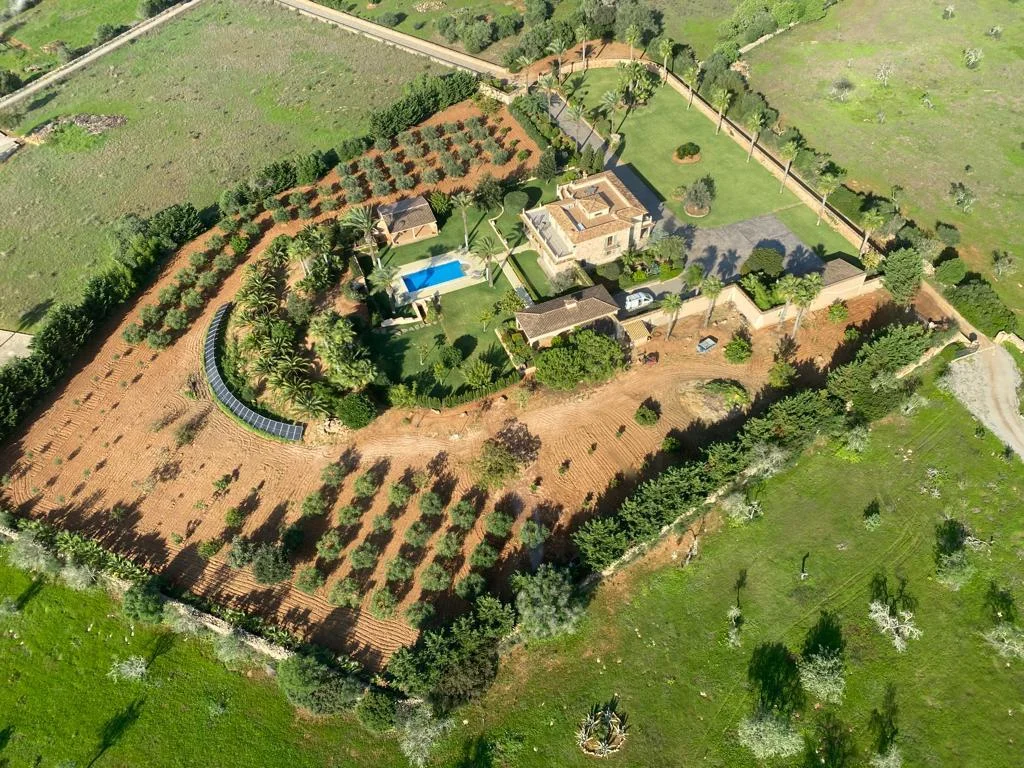 FRANZ STUCKMANN BALEARS - Bild 8