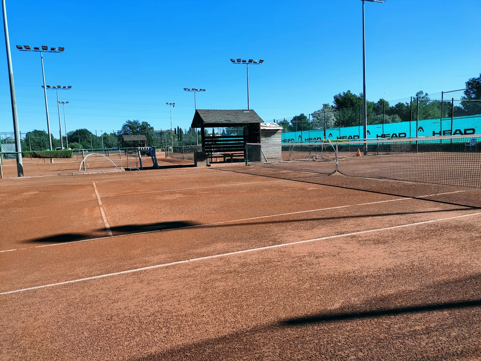 Global Tennis Team - Bild 1