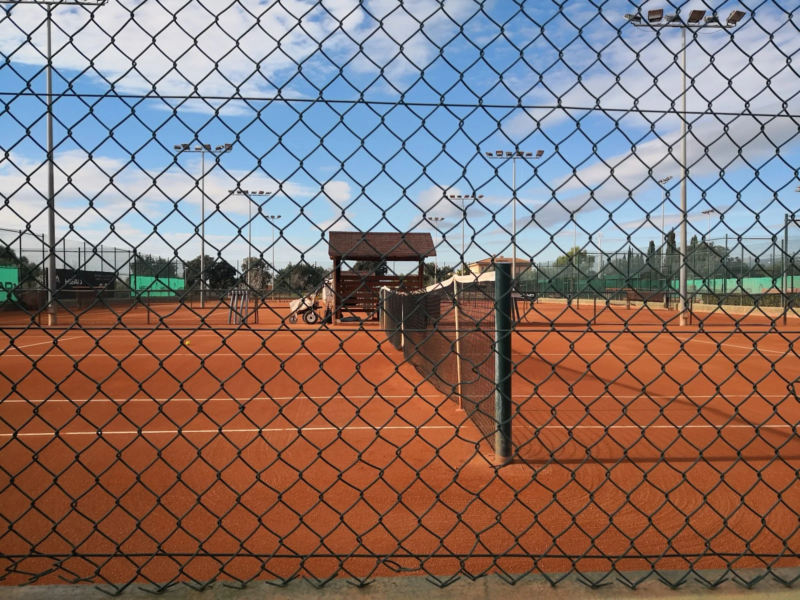 Global Tennis Team - Bild 3