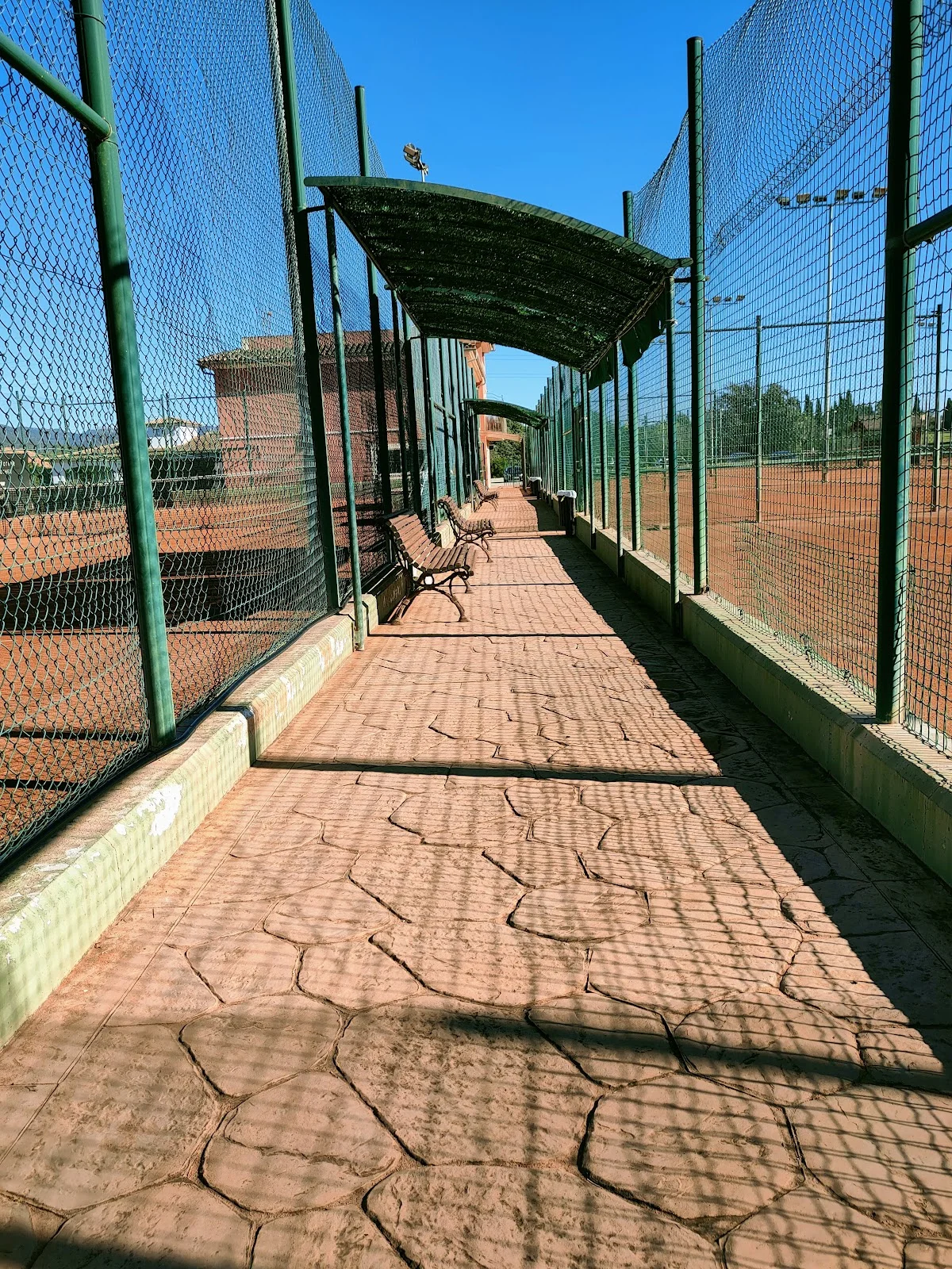 Global Tennis Team - Bild 4