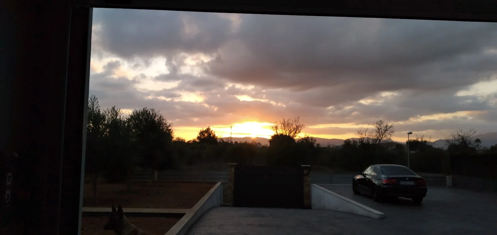 Global Tennis Team - Bild 8