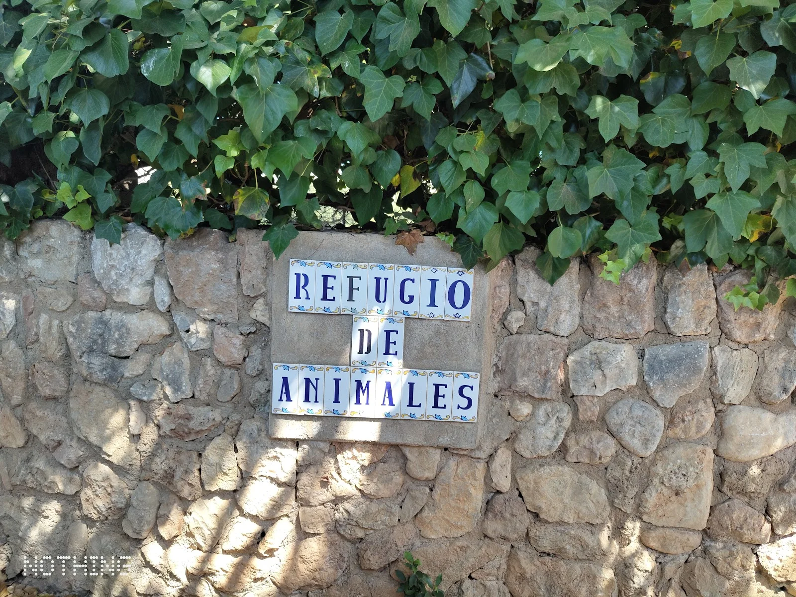 Refugi d'animals de Pollença - Bild 1