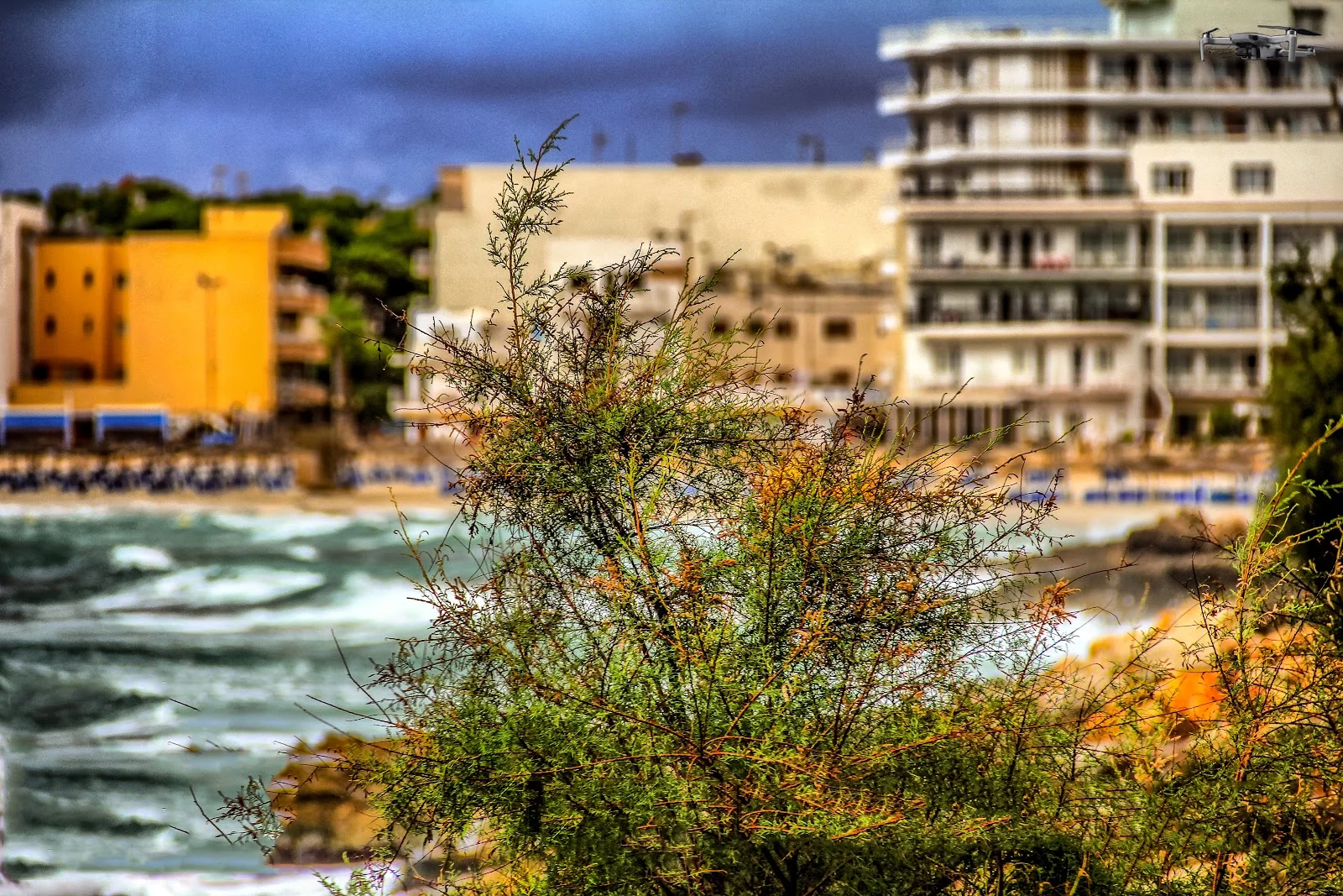 Rent A Car Savina Sillot - Bild 1