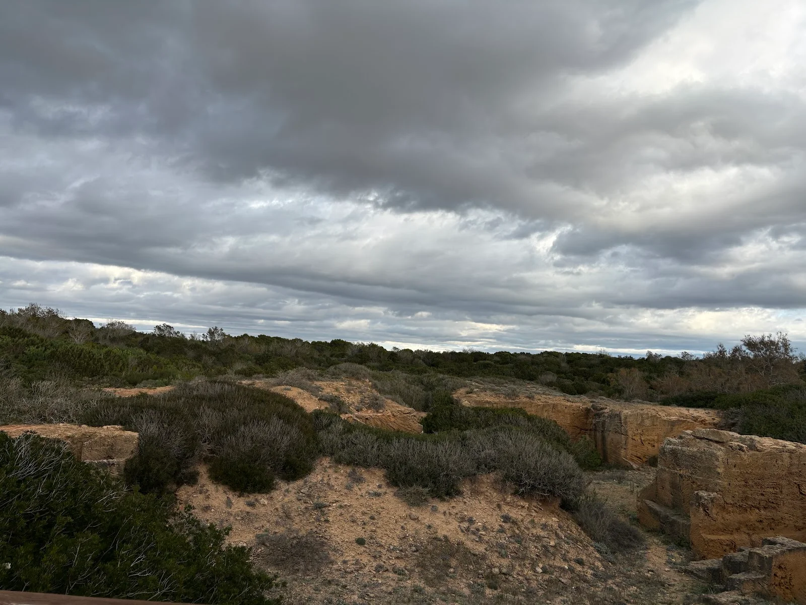 Parc des Carnatge - Bild 10