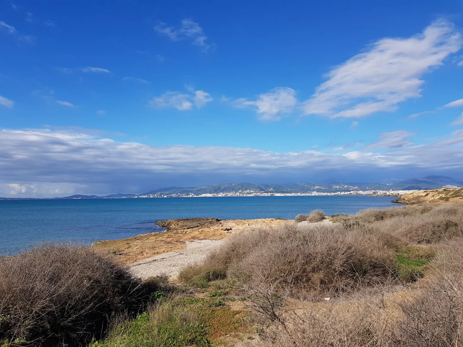 Parc des Carnatge - Bild 6