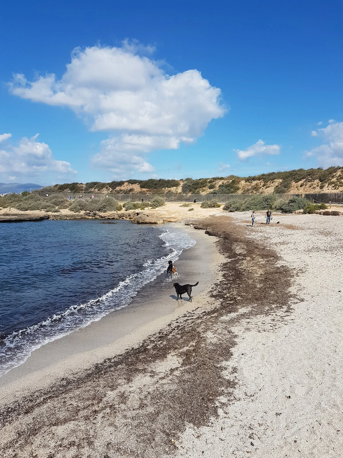 Parc des Carnatge - Bild 9