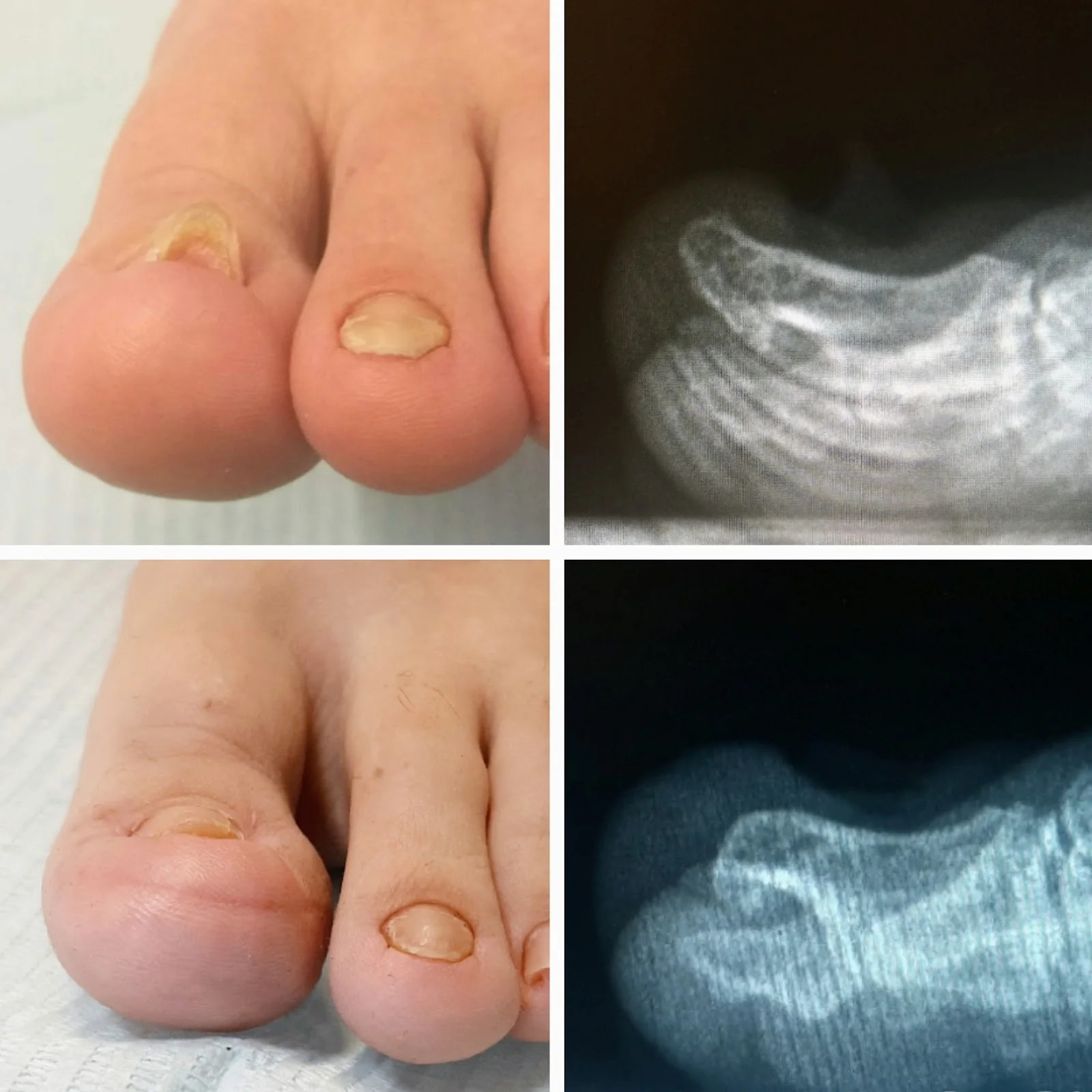 Clínica Lladó - Bild 1