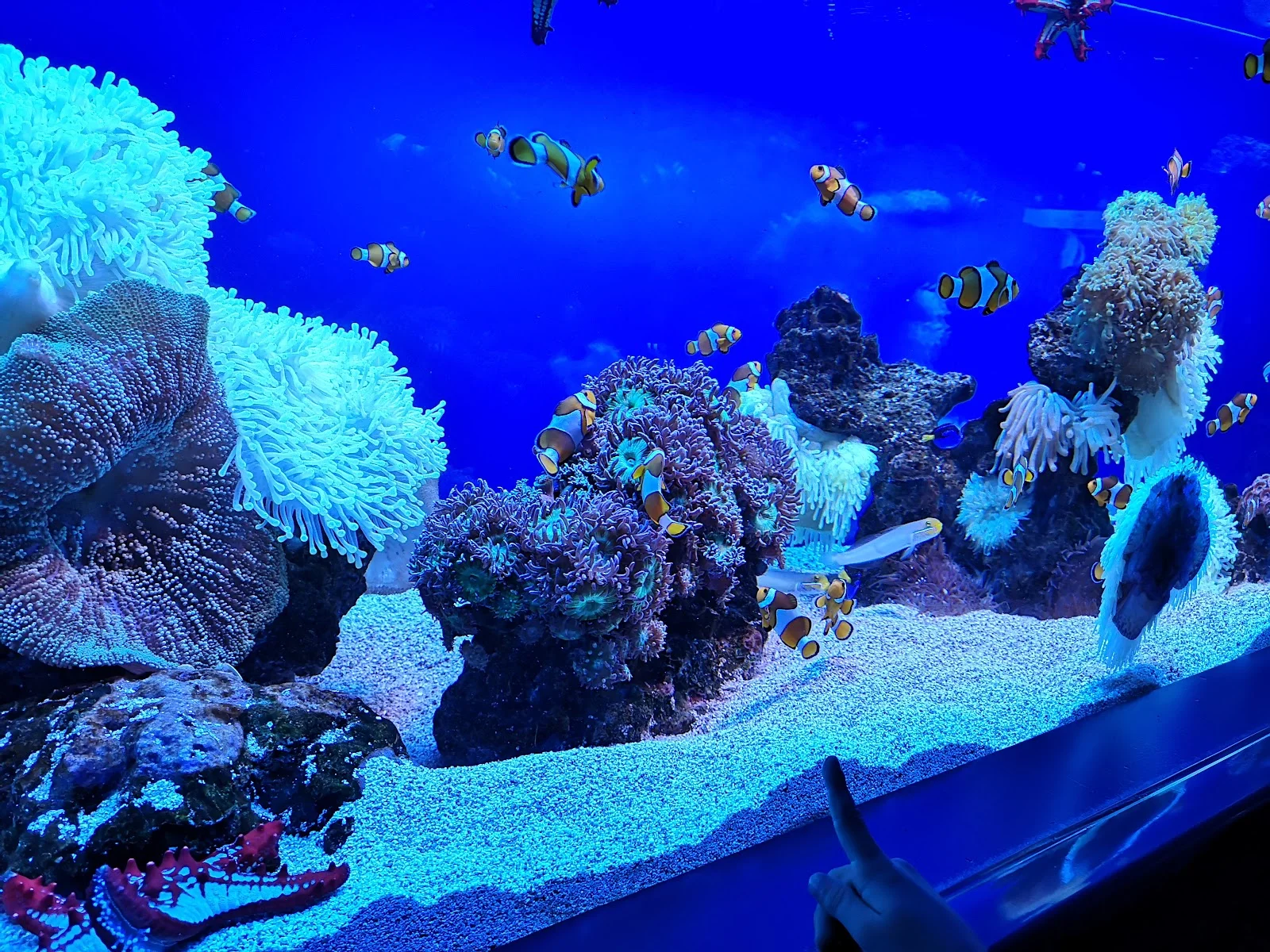 Palma Aquarium - Bild 10