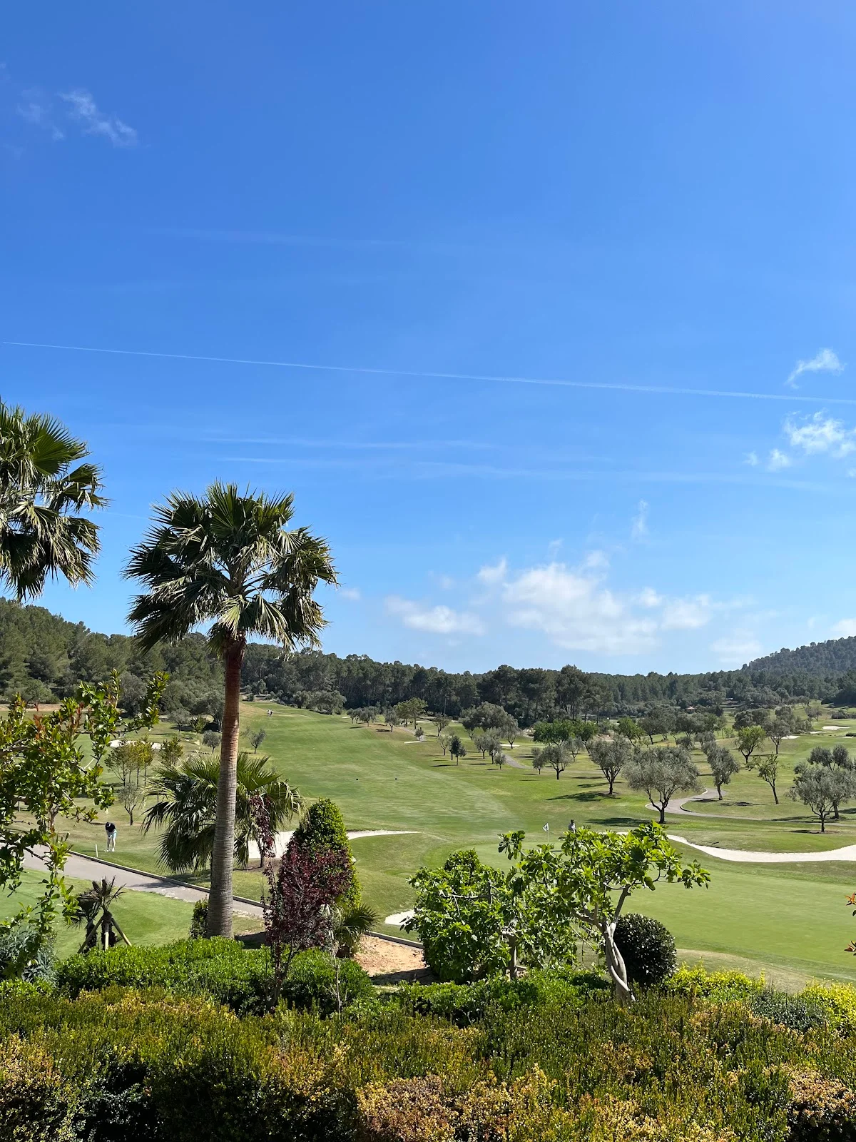 Golf Natural Guidance - Bild 7