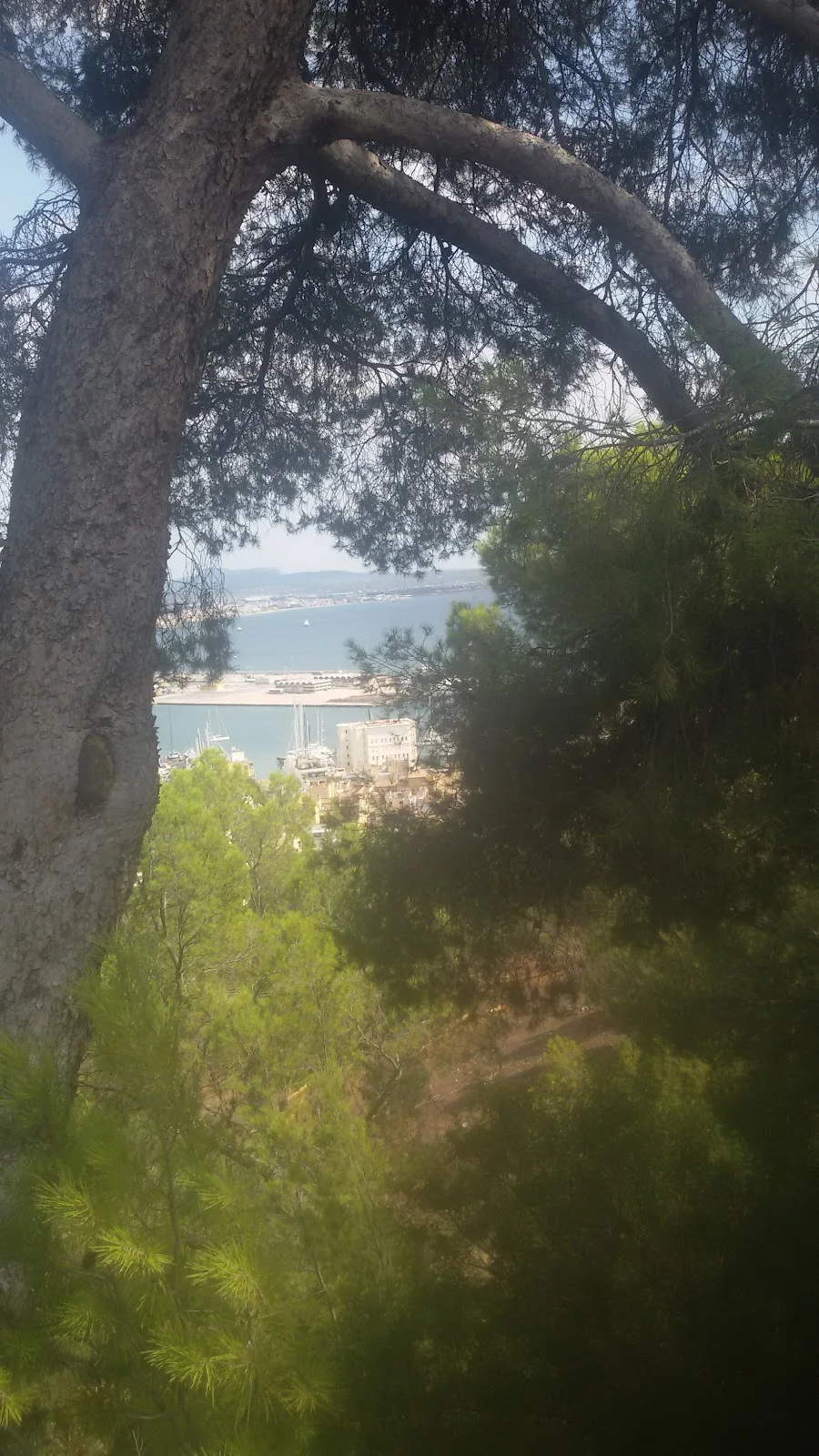 Parròquia de l'Assumpció de Nostra Senyora (Son Espanyolet) - Bild 7