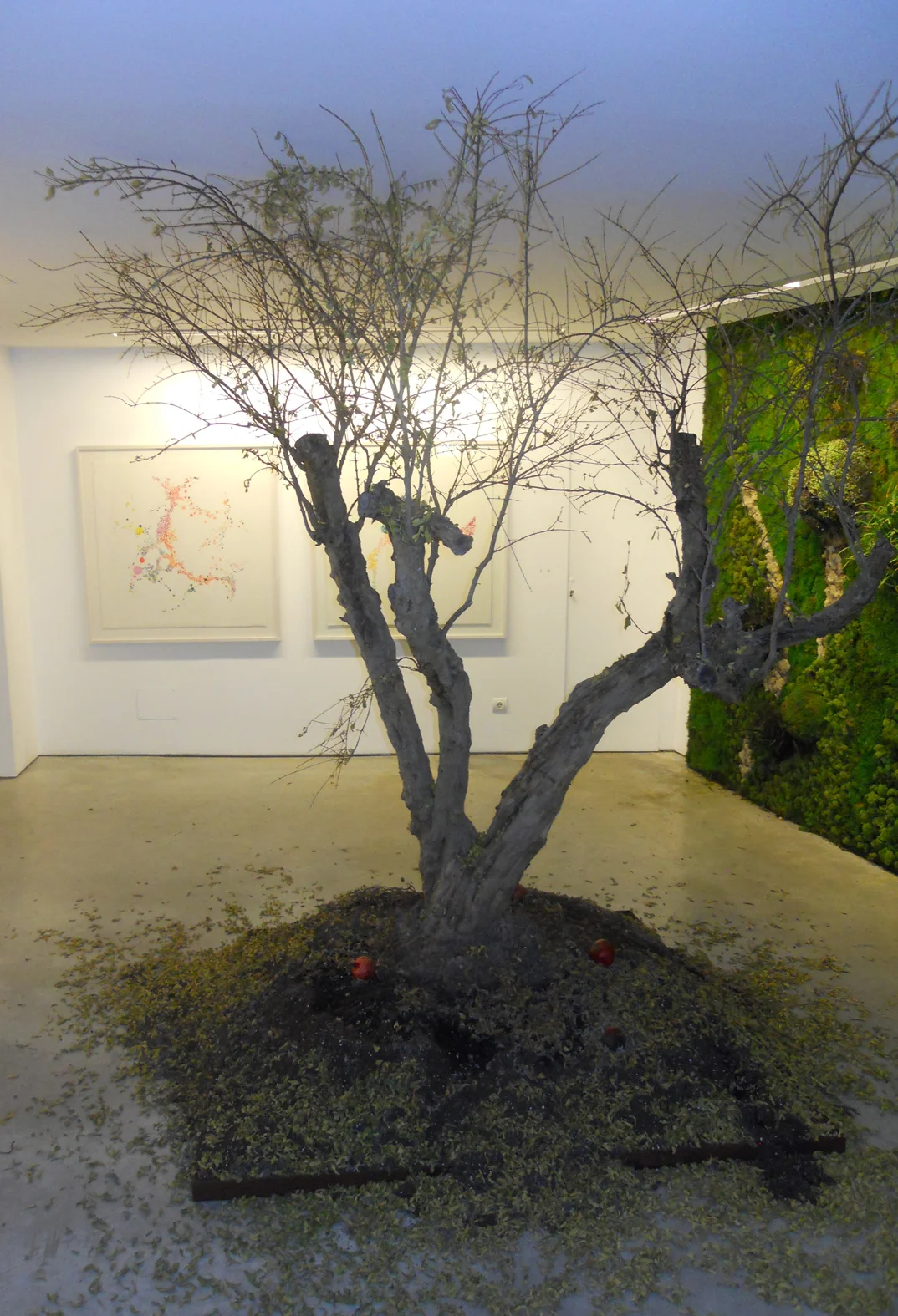 6A GALERÍA DE ARTE Y TALLER - Bild 7