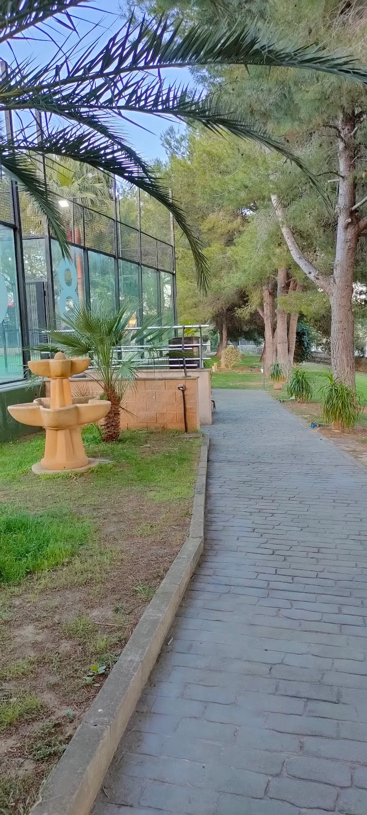 Padelmon Palmanyola - Bild 10