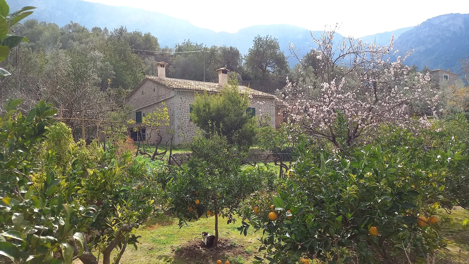 La Casa de Robert Graves - Bild 8