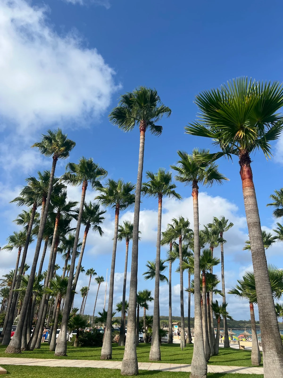 Bolzano Beach Club - Bild 10