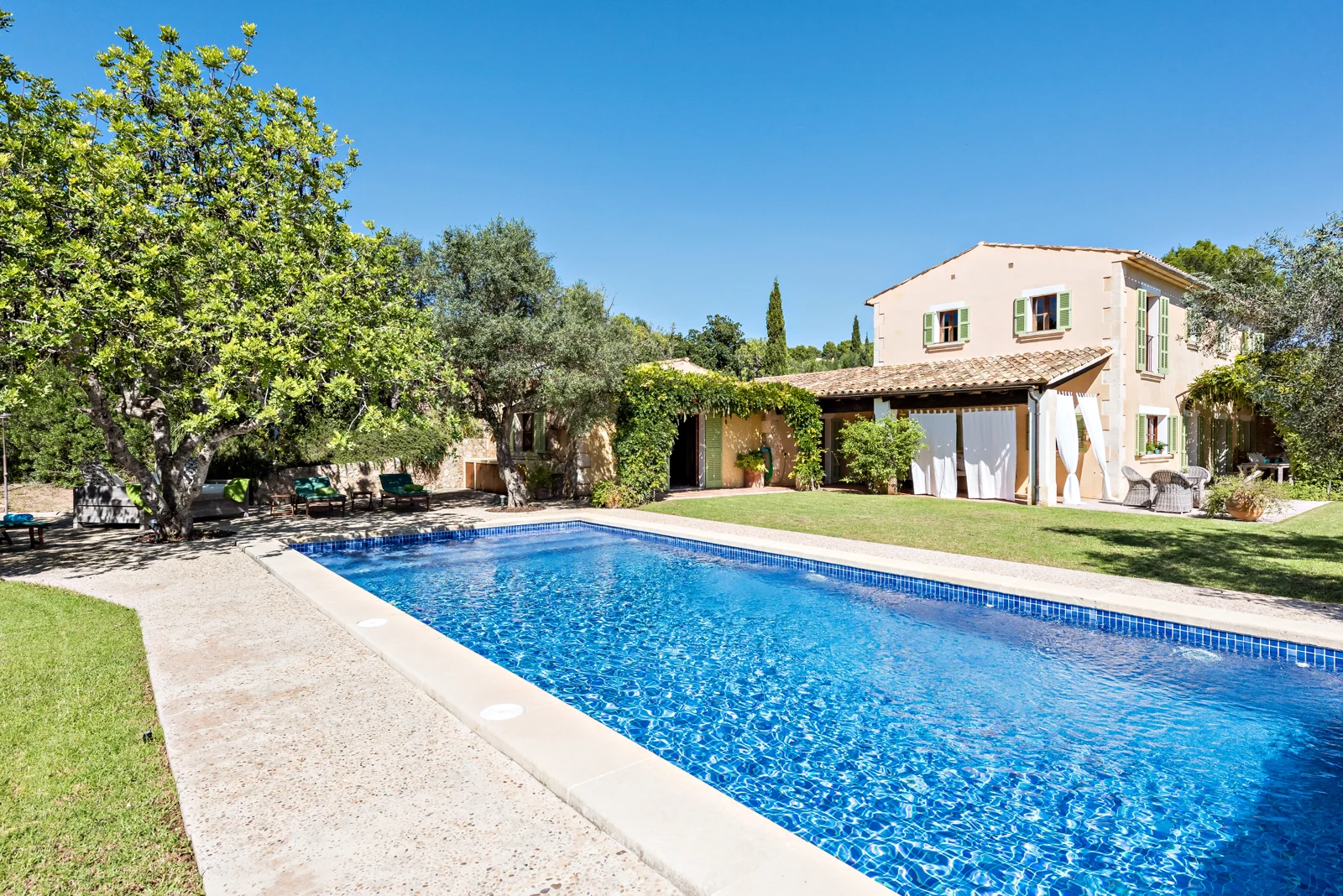 de Haas & Partner - Bild 4