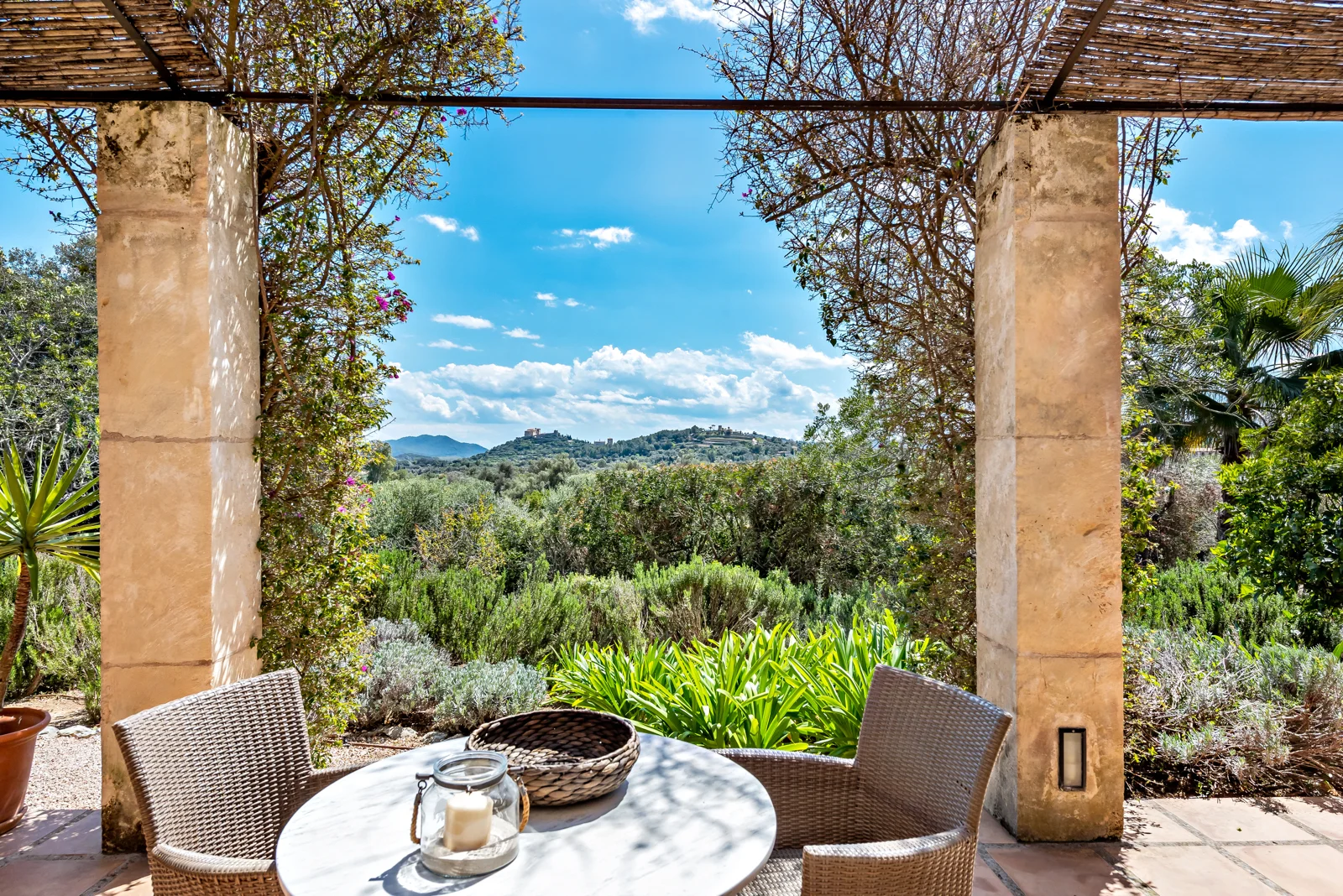 de Haas & Partner - Bild 5