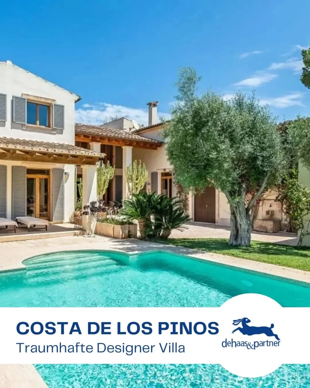 de Haas & Partner - Bild 7