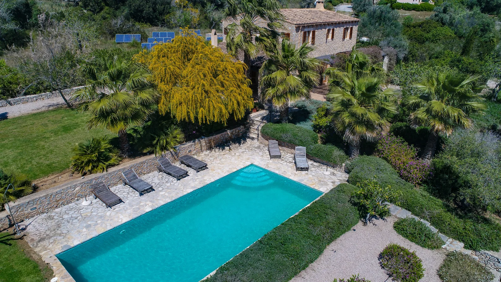 de Haas & Partner - Bild 8