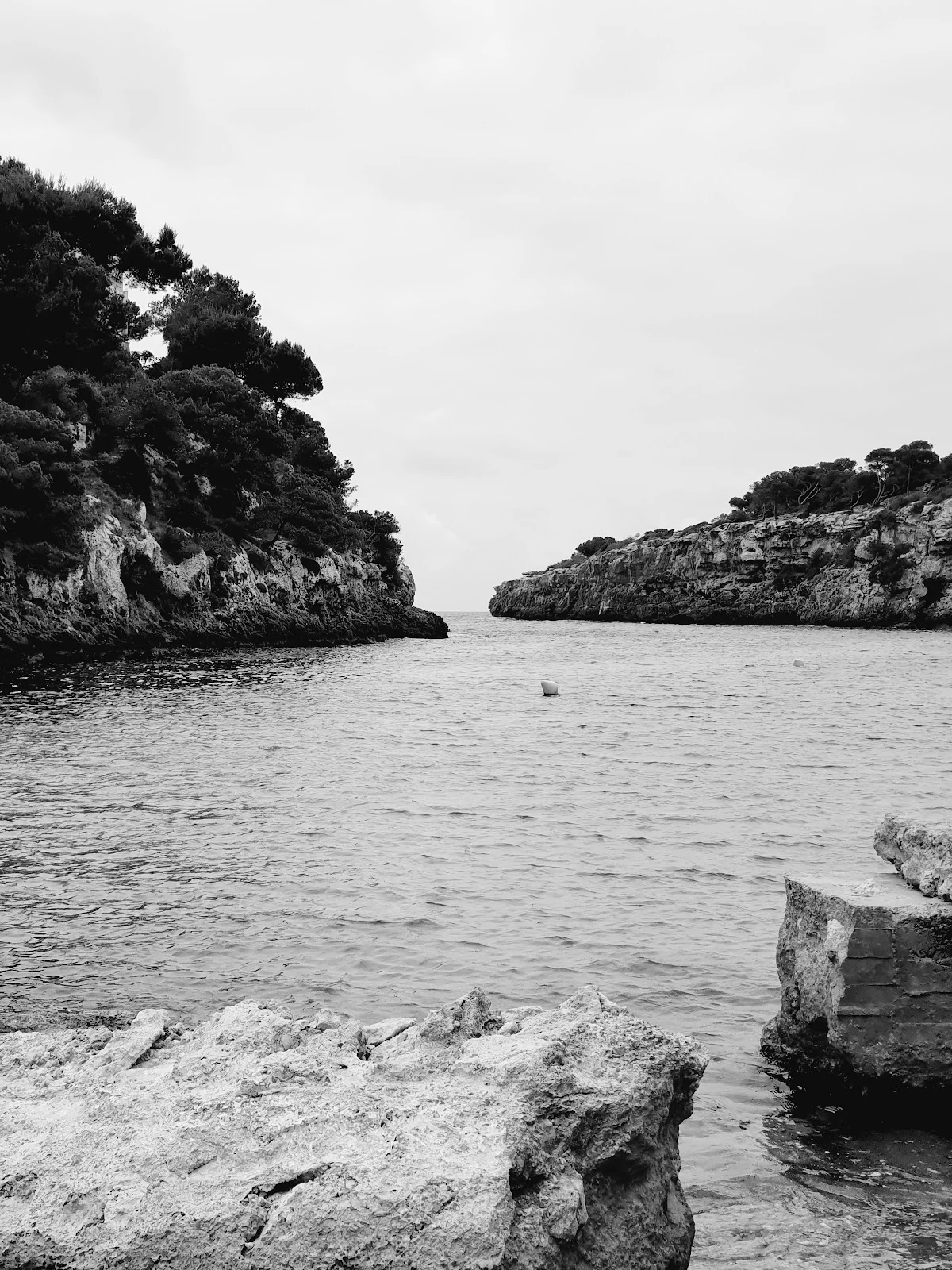 Playa de Cala Pi - Bild 9