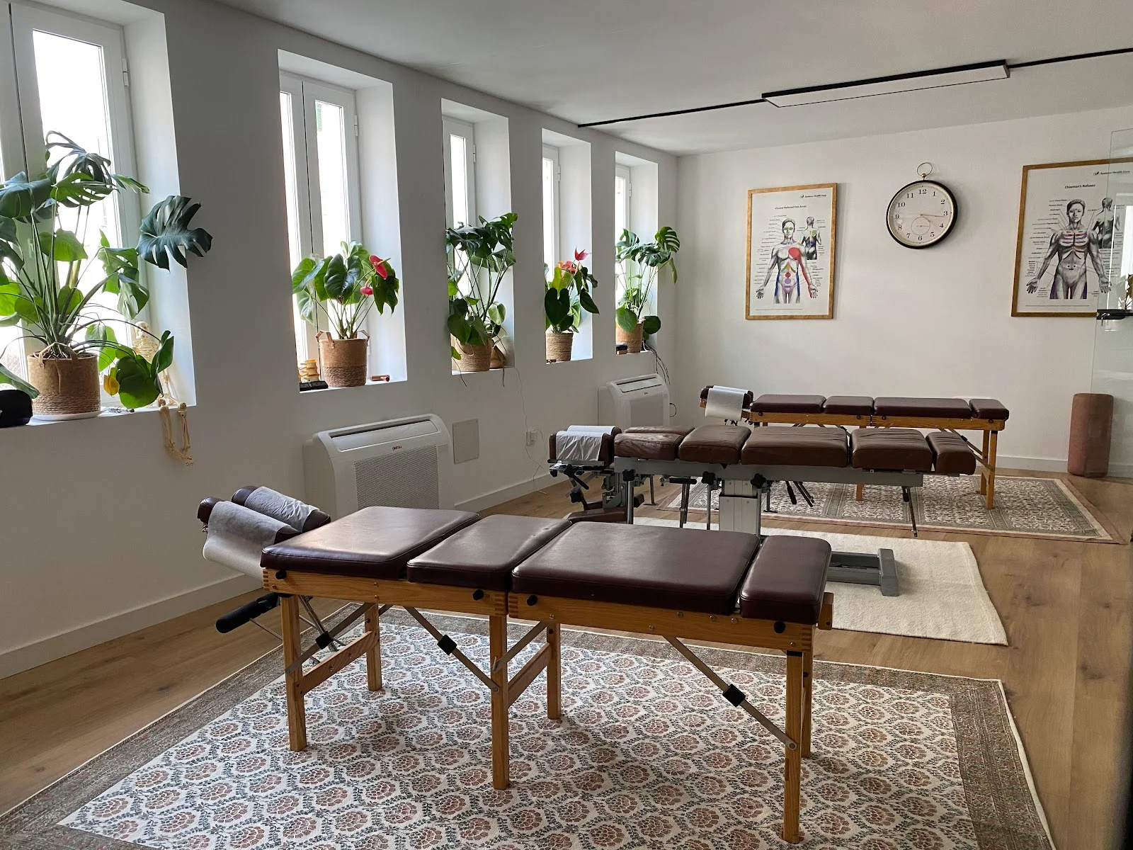 Olakino Quiropráctica - Bild 1