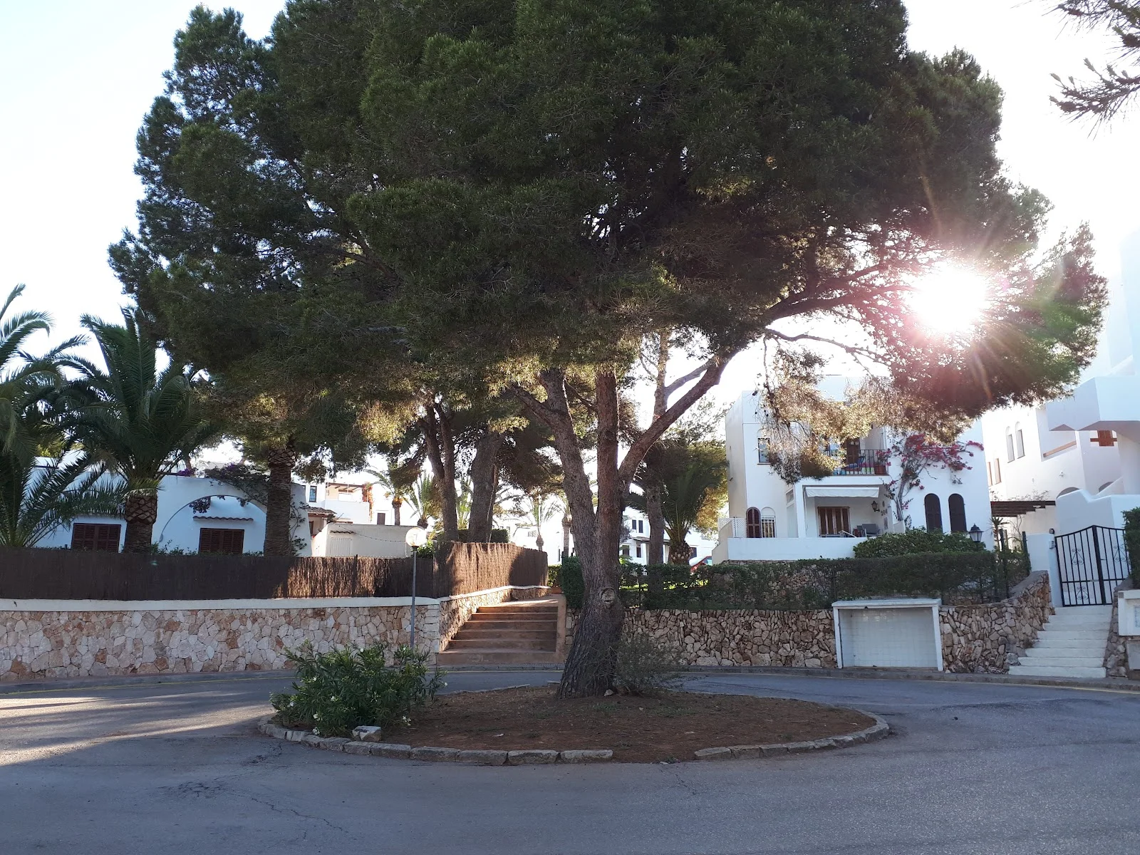 Playa Cala Gran - Bild 3