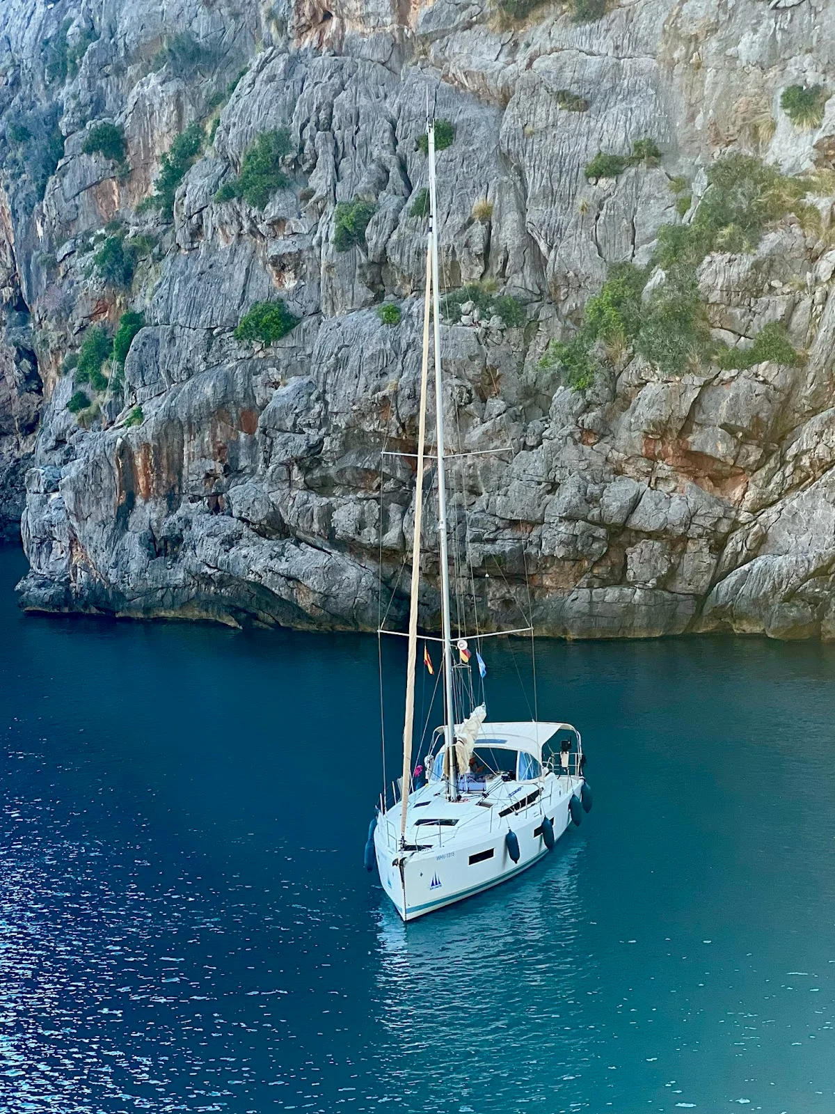 Sun Charter Mallorca - Bild 9