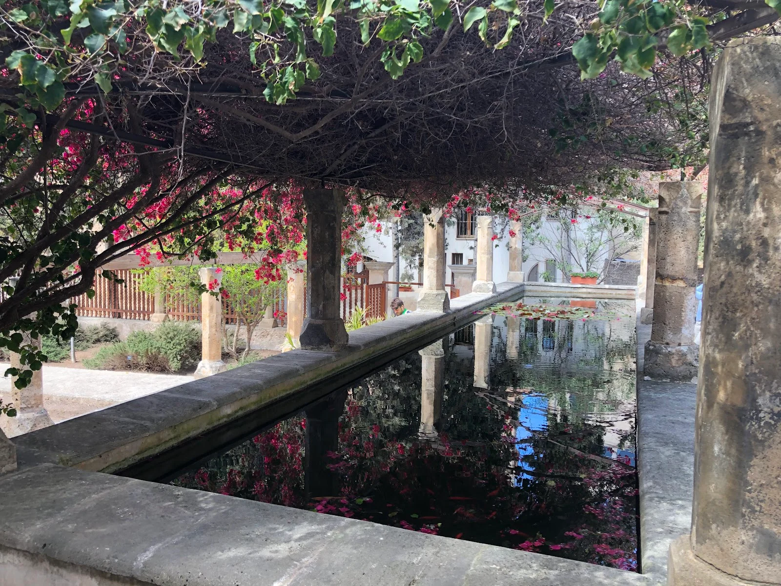 Bufete Morell - Bild 10