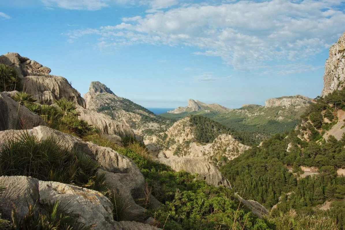 MCR Mallorca Immobilien - Bild 10