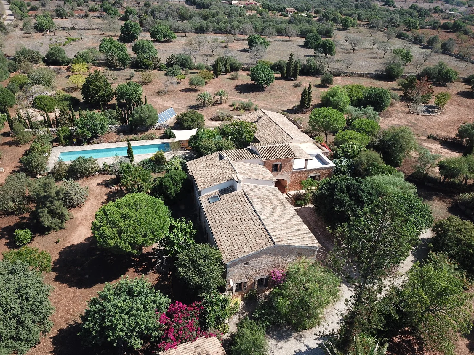 MCR Mallorca Immobilien - Bild 6