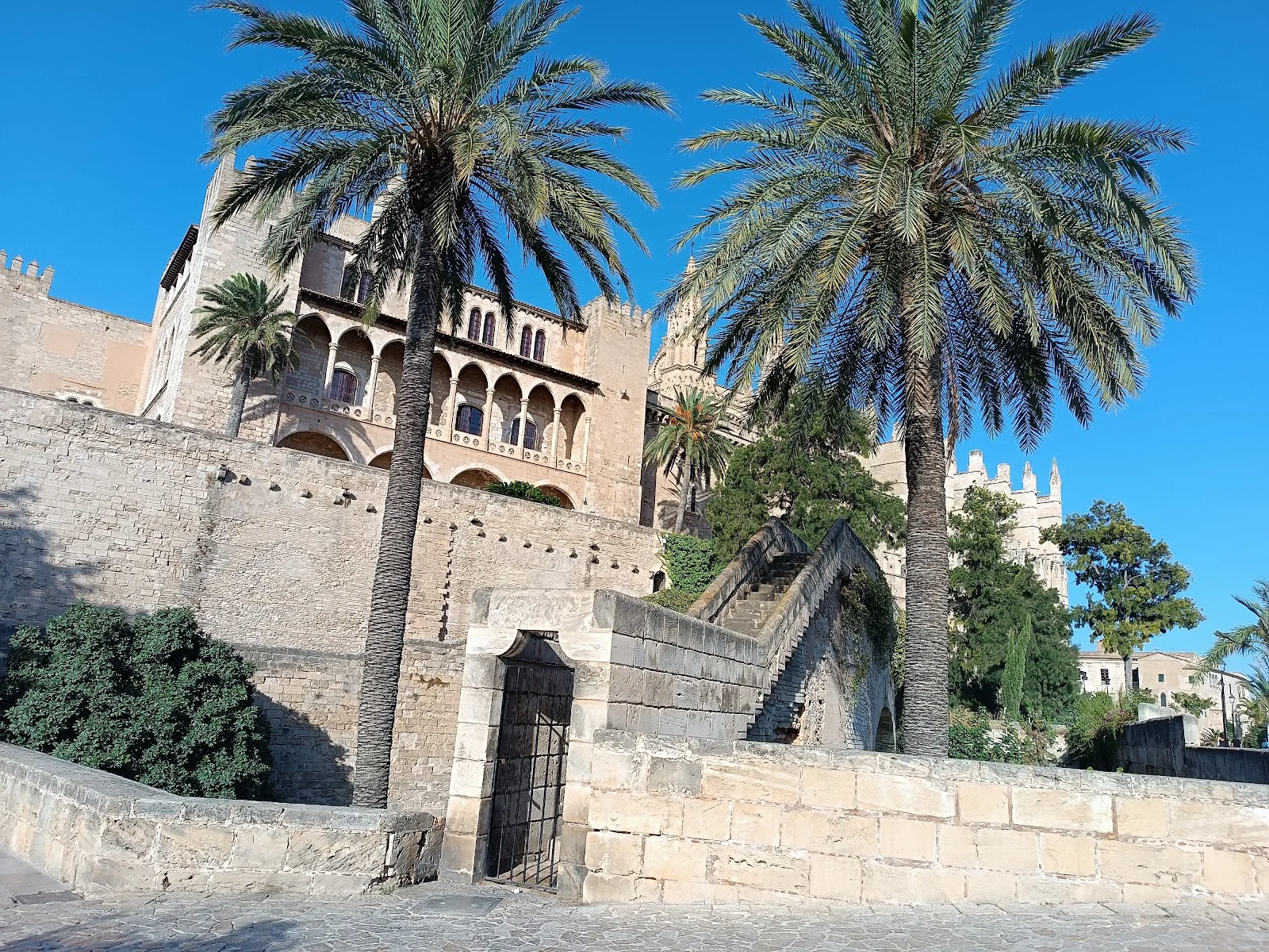 Tus Sentidos Mallorca - Bild 10