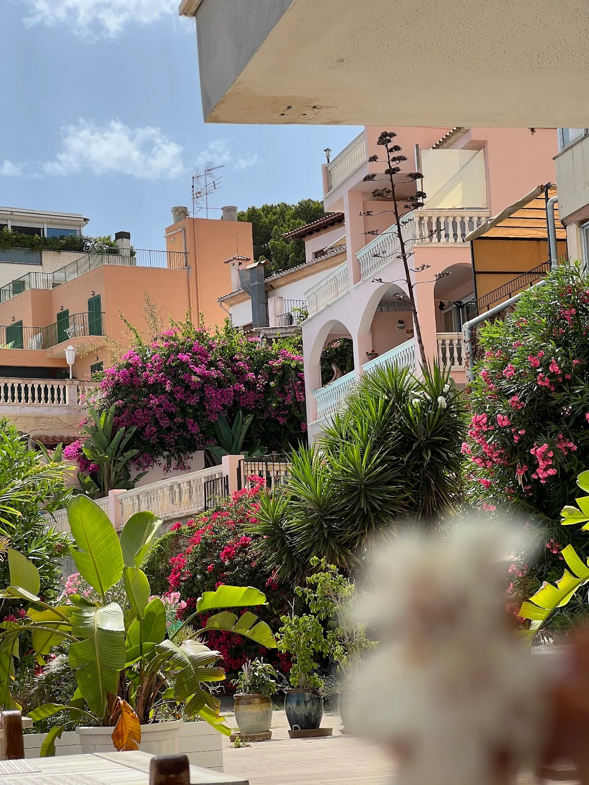 Pure Azaya Beach Club - Bild 10